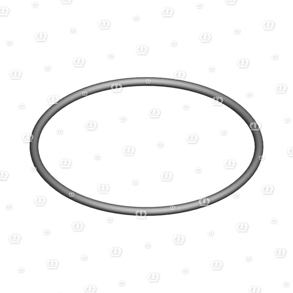 O-RING OR 100-4