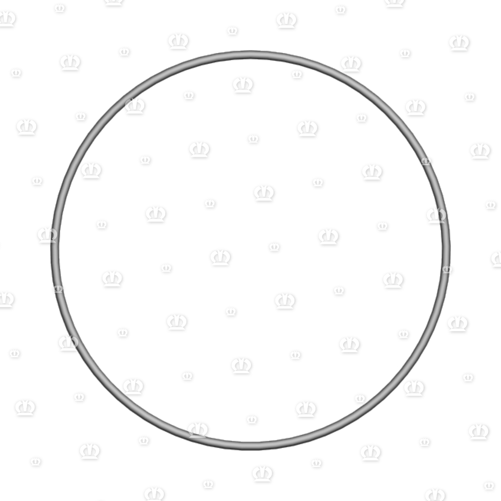 O-RING OR 134,5-3