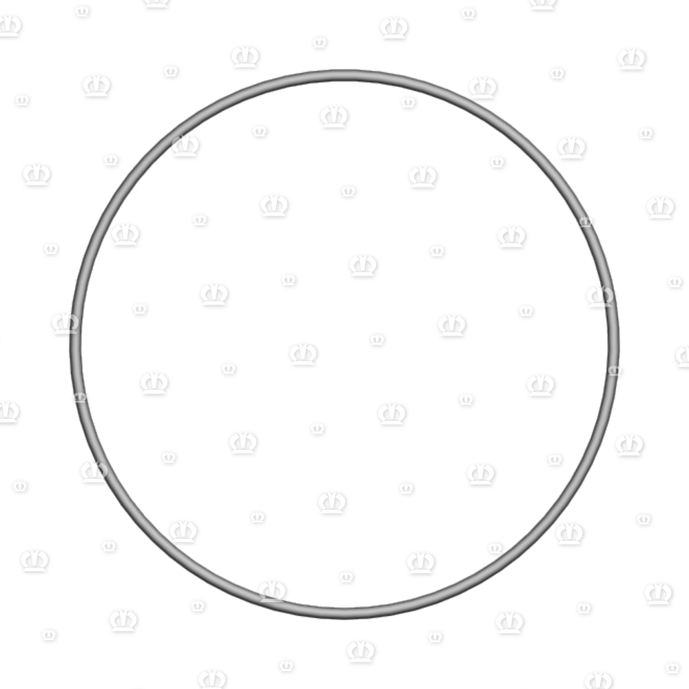 O-RING OR 134,5-3