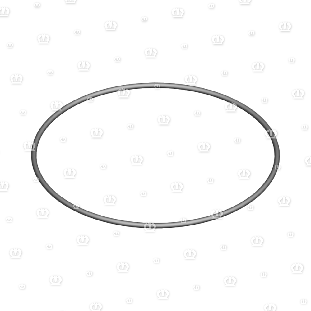 O-RING OR 134,5-3