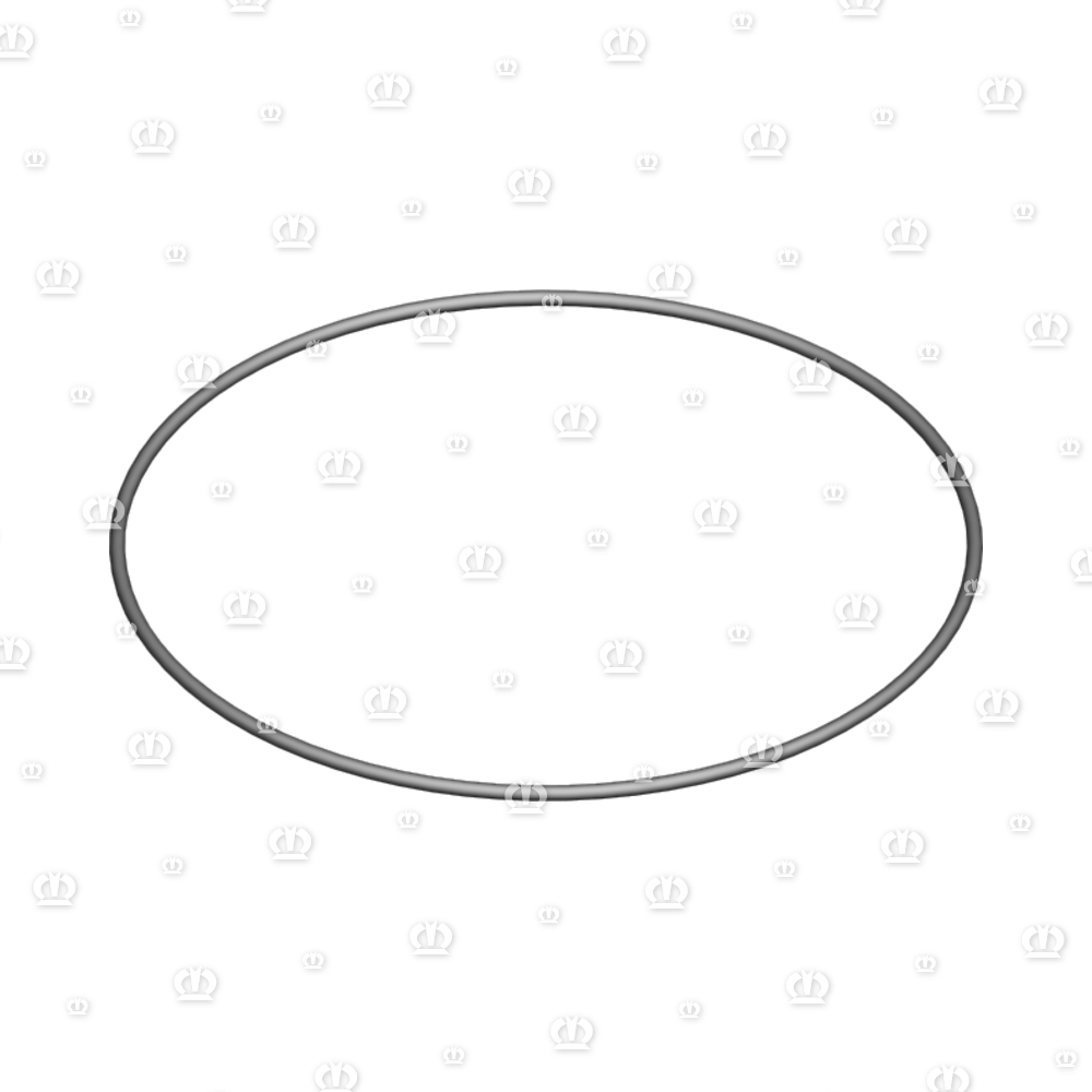 O-RING OR 160X3