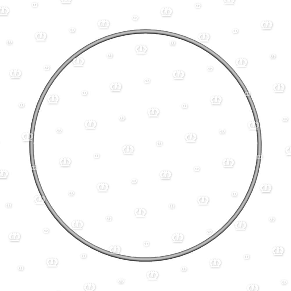 O-RING OR 160X3