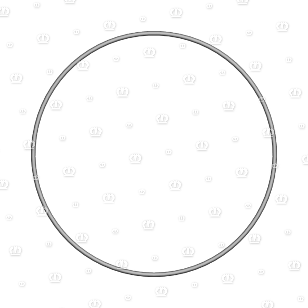 O-RING OR 160X3