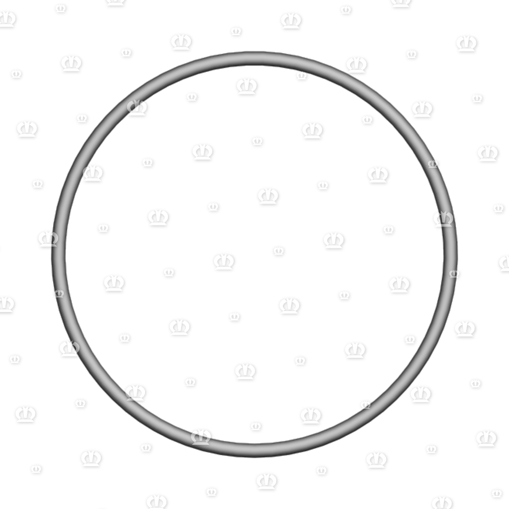 O-Ring 80 x 3