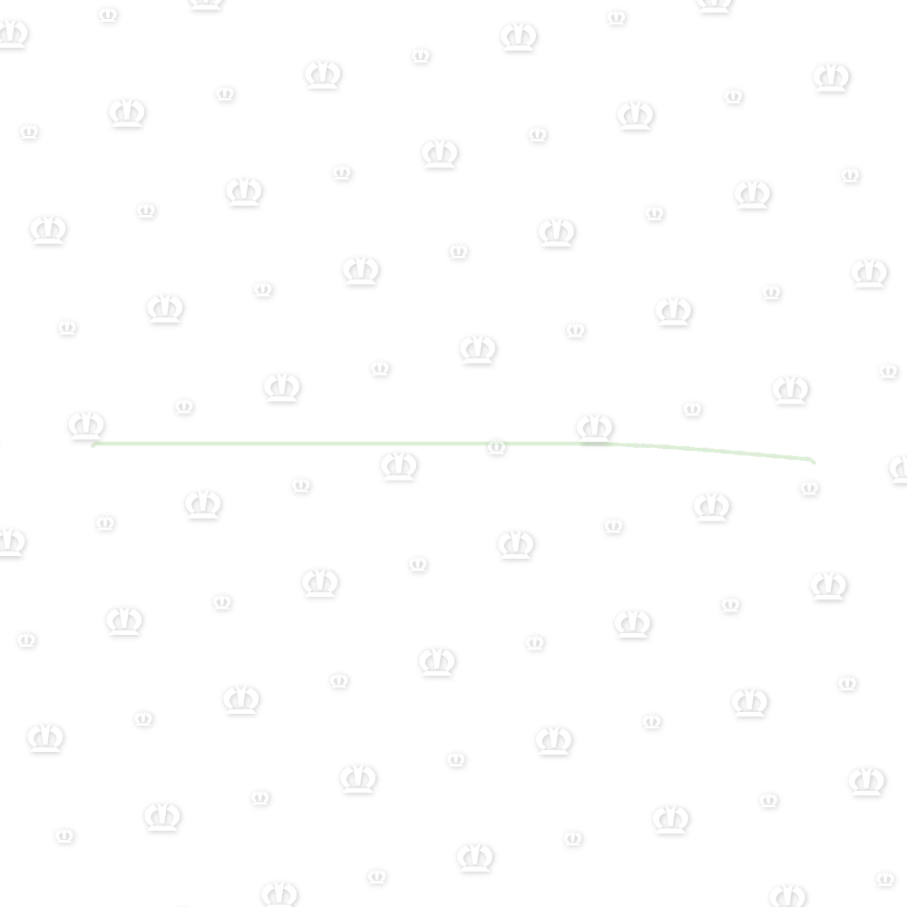 Gleitschiene 4556 lang