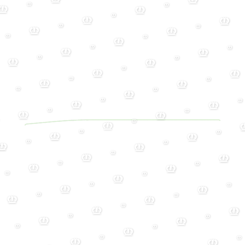 Gleitschiene 4556 lang