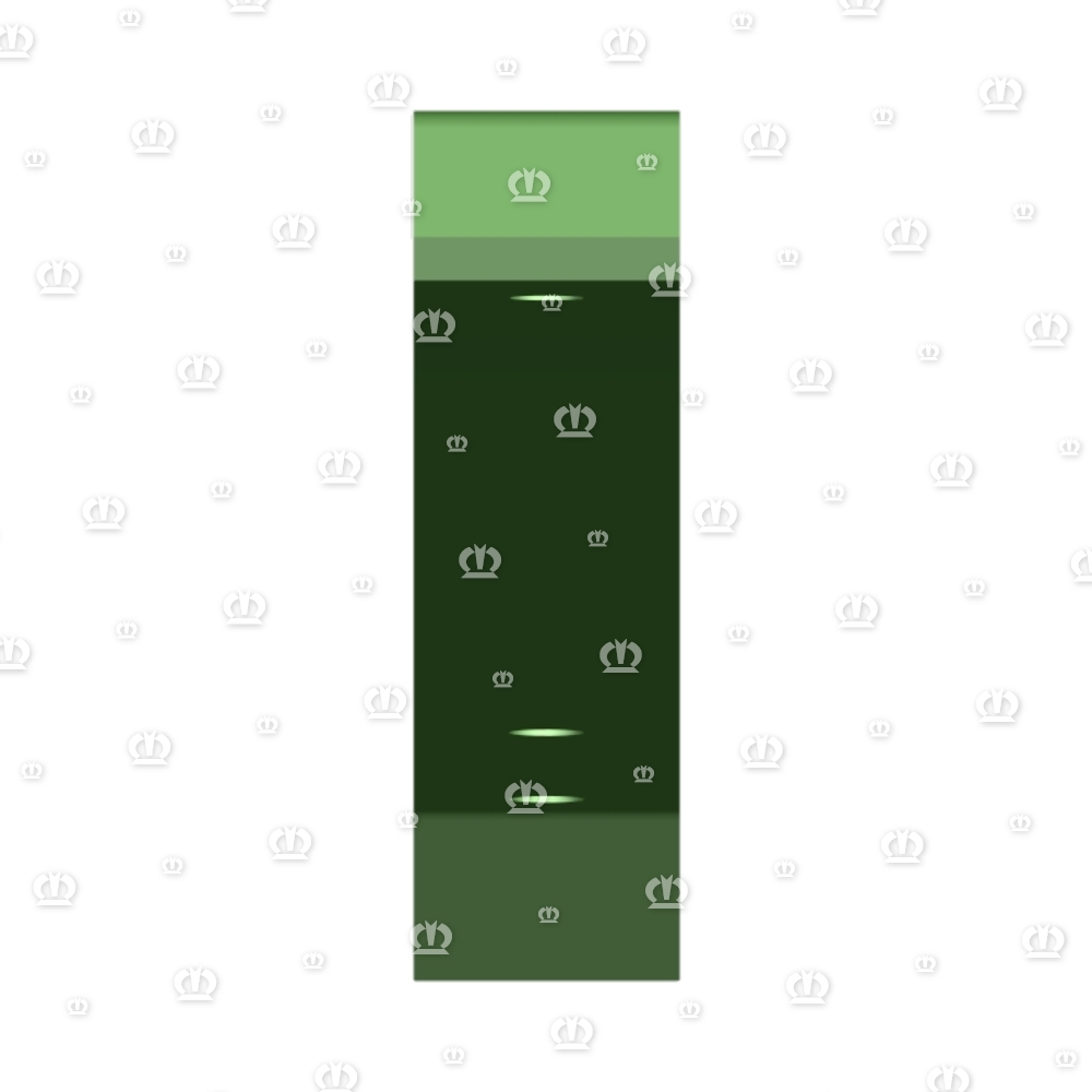 Gleitschiene 4556 lang