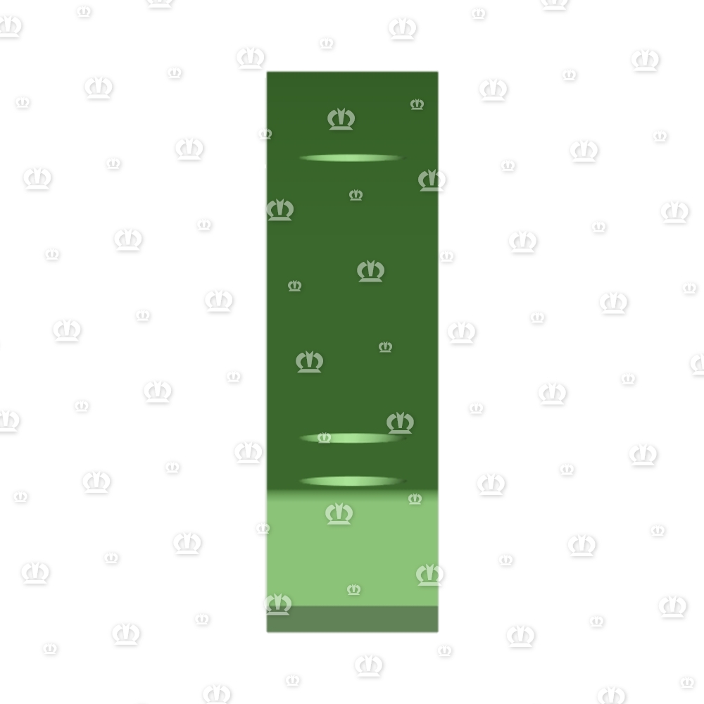 Gleitschiene 4556 lang