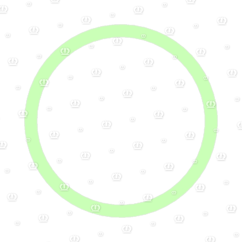 Distanzring Ro 63,5x4,0