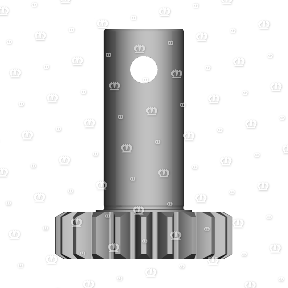RITZEL Z=21 F.SCHERSICHER.