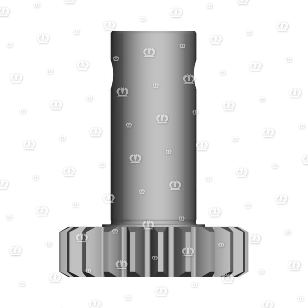 RITZEL Z=21 F.SCHERSICHER.