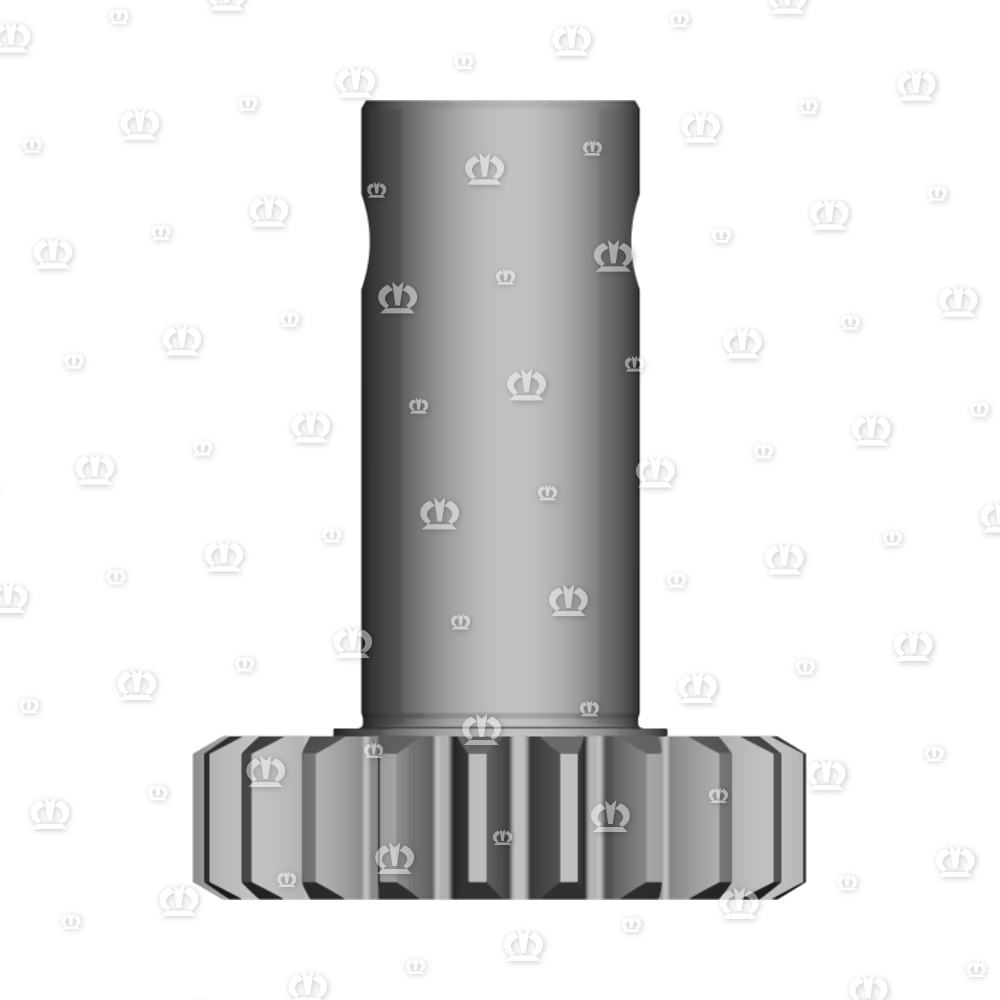 RITZEL Z=21 F.SCHERSICHER.