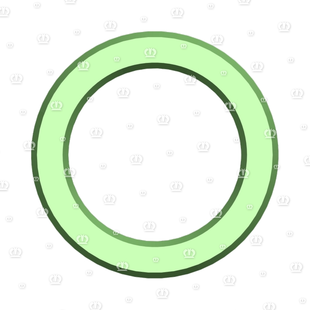 ADAPTERRING RO.51X12,5X30