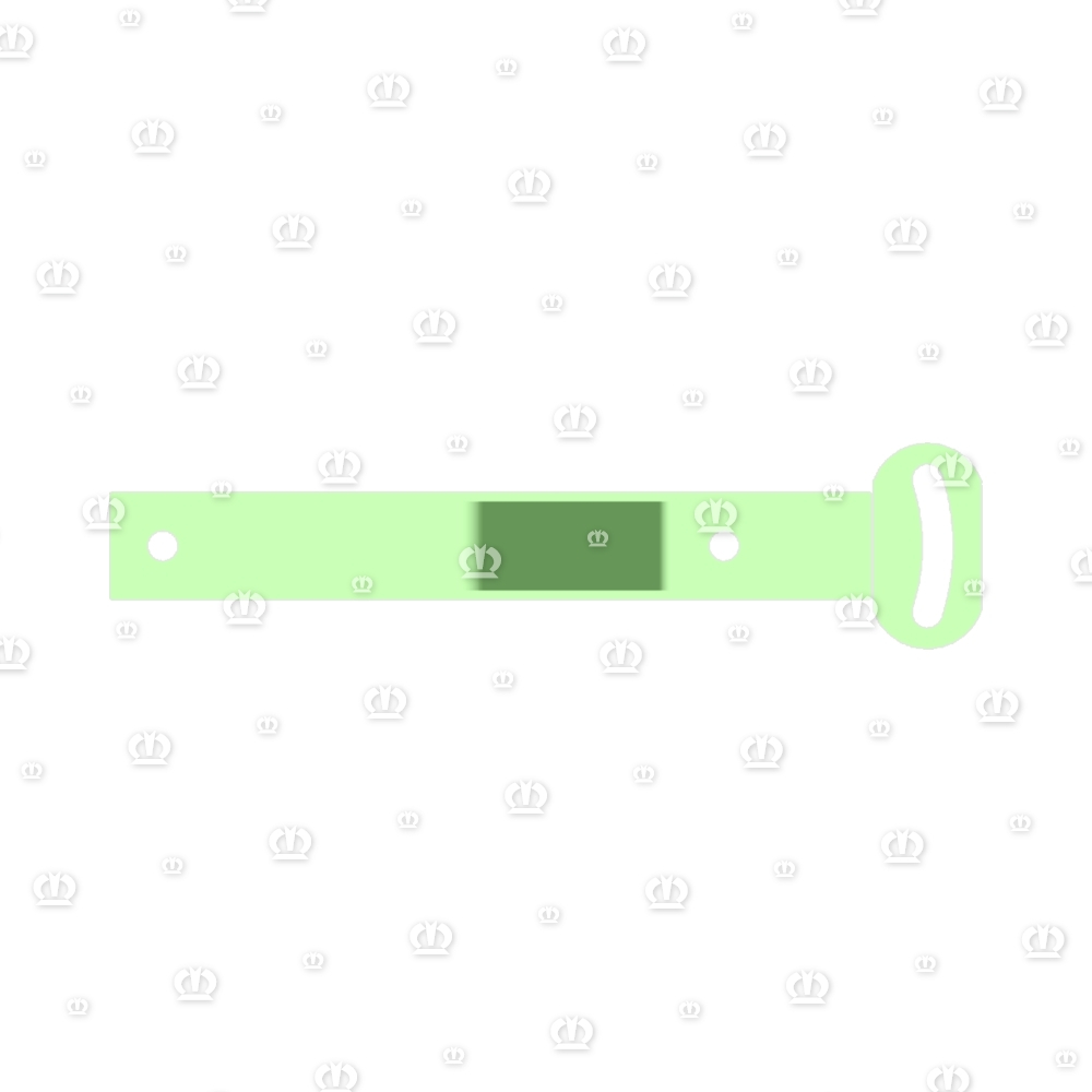 TASTRADHALTER