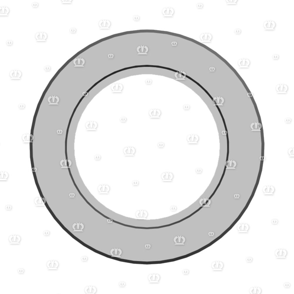 ADAPTERRING RD.100X18