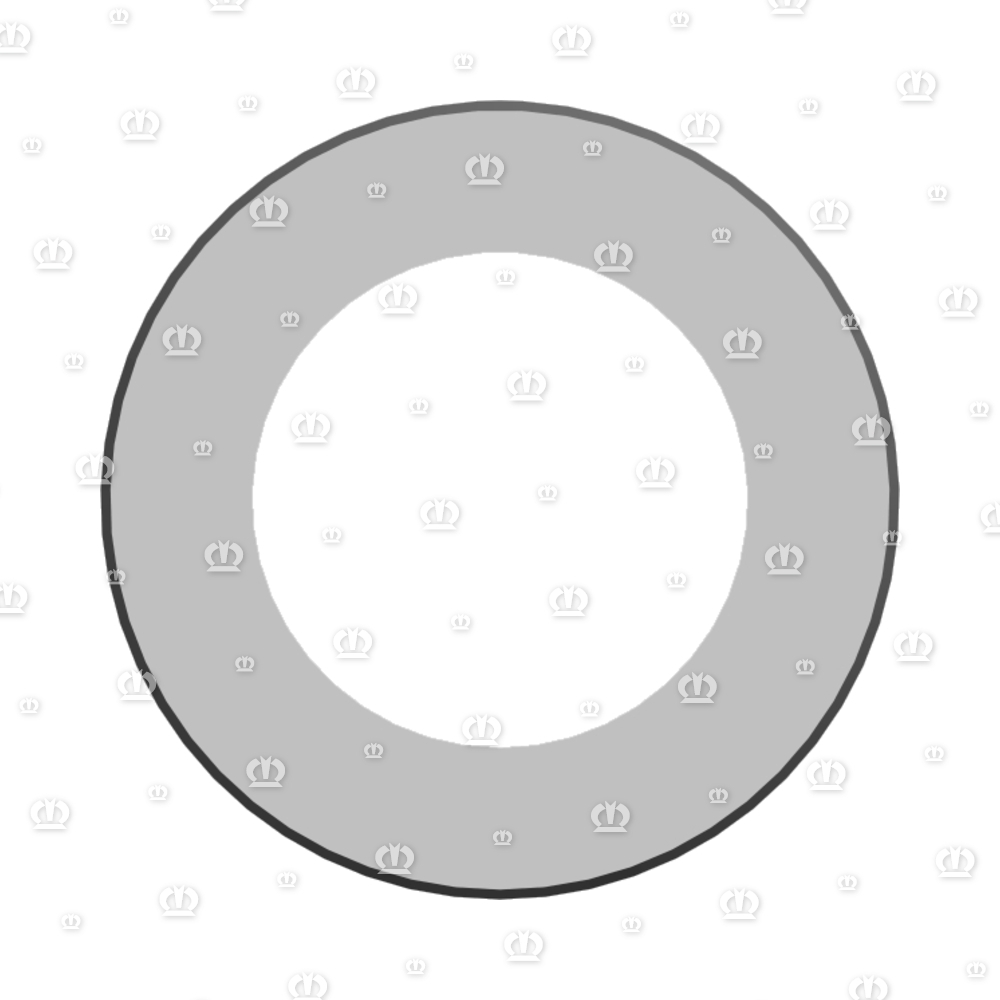 ADAPTERRING RD.100X18