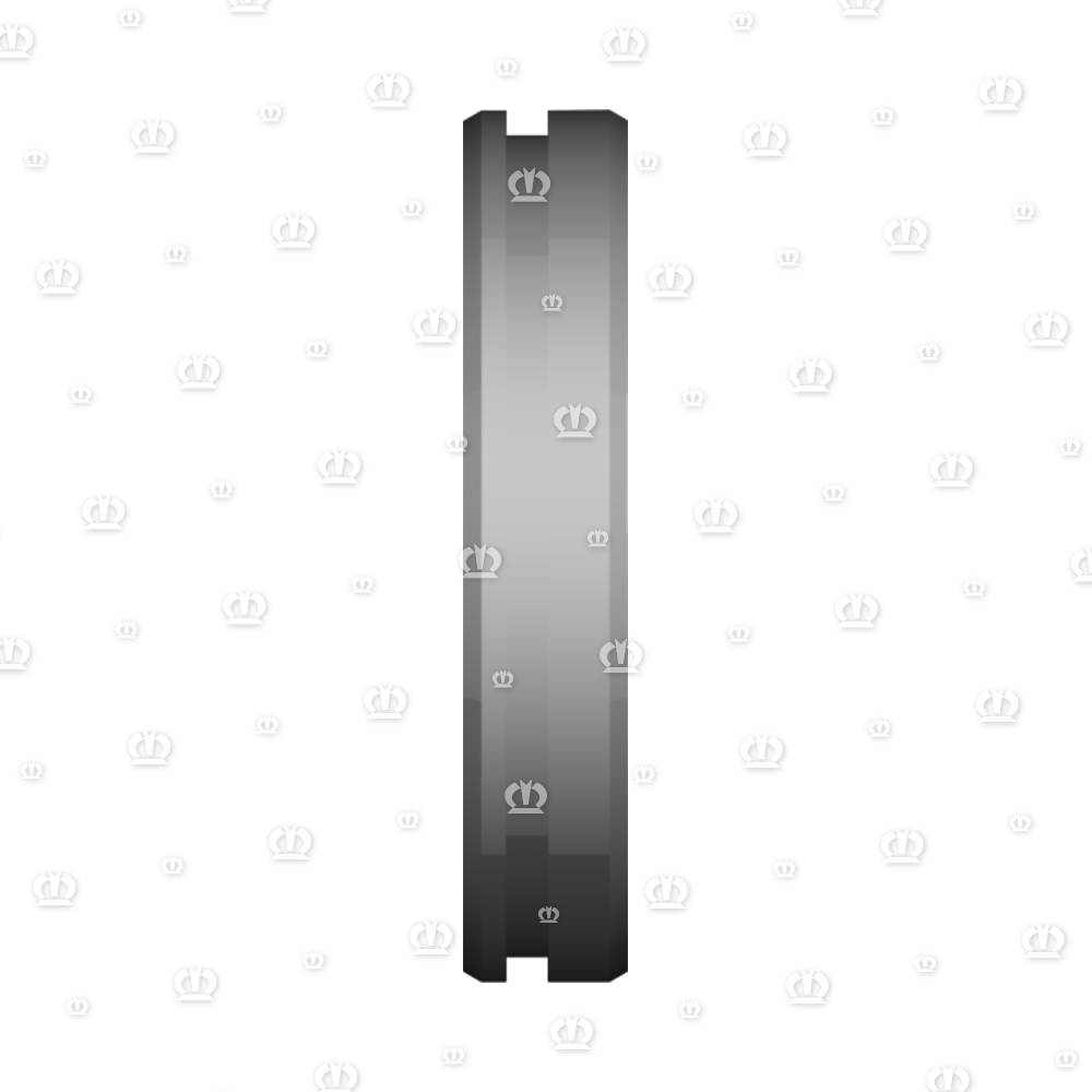 ADAPTERRING RD.100X18