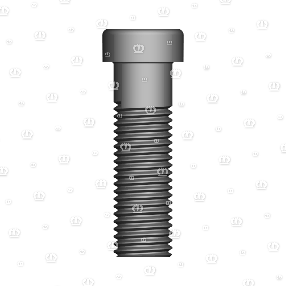 ZYL.-SCHR. I-6KT M20X65