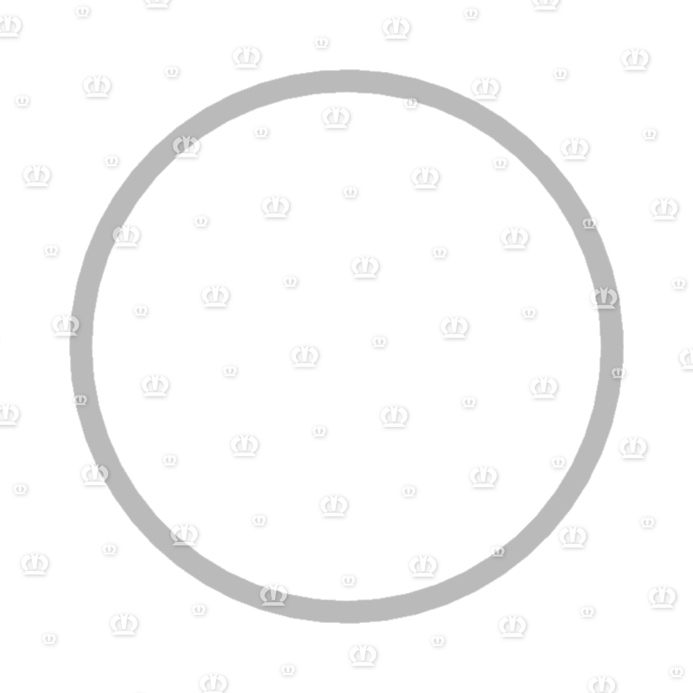 PASSCHEIBE 115X125X0,1