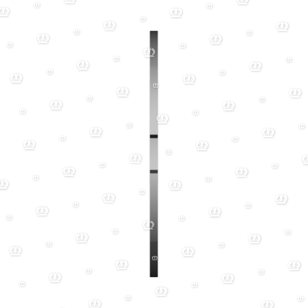 SEEGERRG. I120X4,0 472