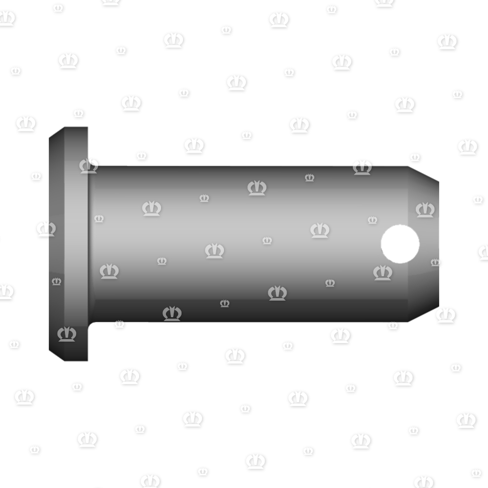 BOLZEN RD.20X45 DIN1435