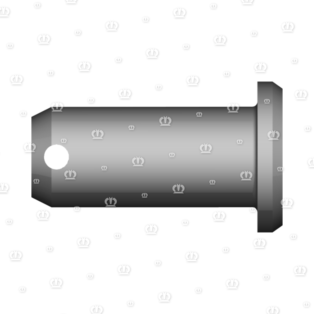 BOLZEN RD.20X45 DIN1435