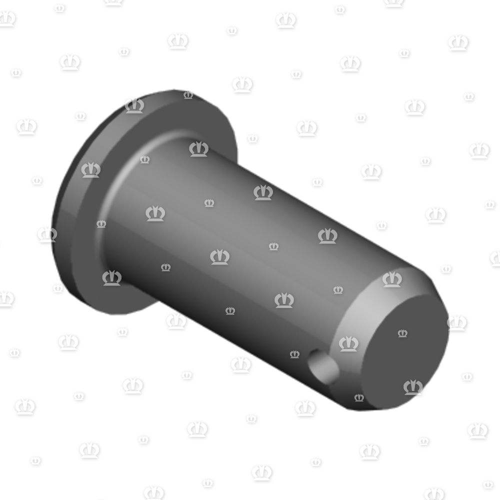 BOLZEN RD.20X45 DIN1435