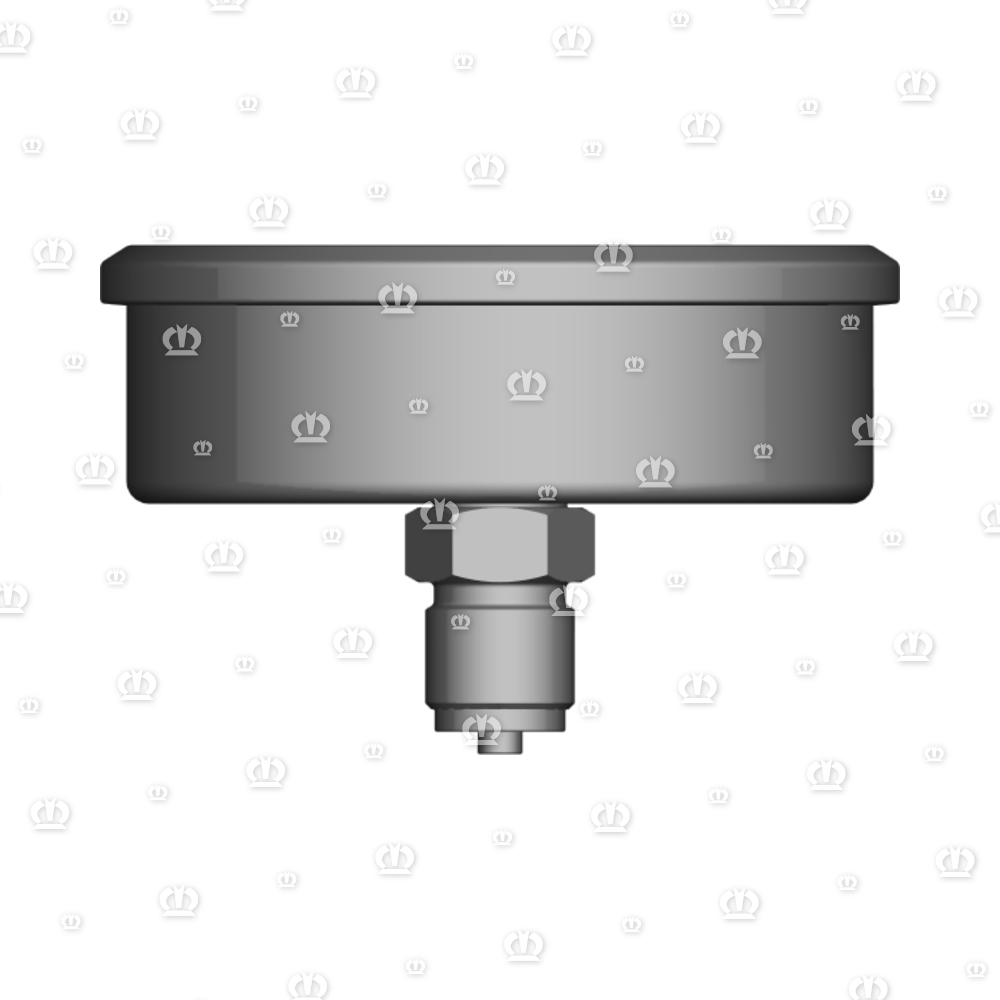 MANOMETER BIS 250BAR