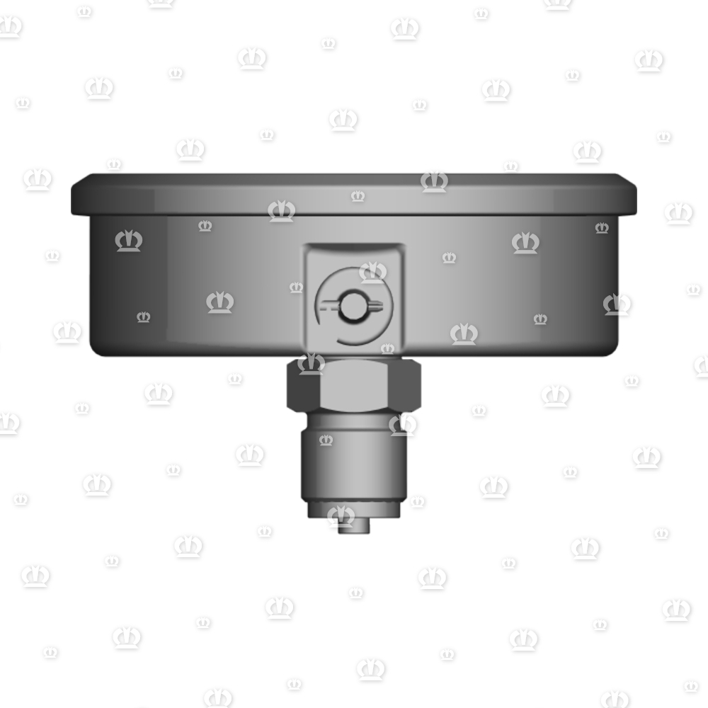 MANOMETER BIS 250BAR