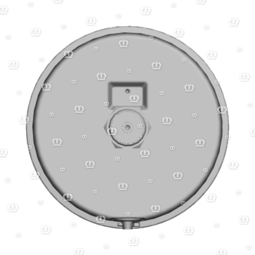 MANOMETER BIS 250BAR