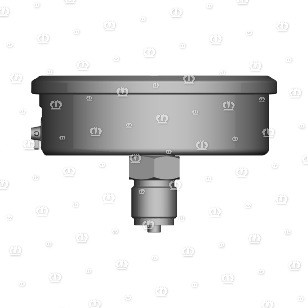 MANOMETER BIS 250BAR