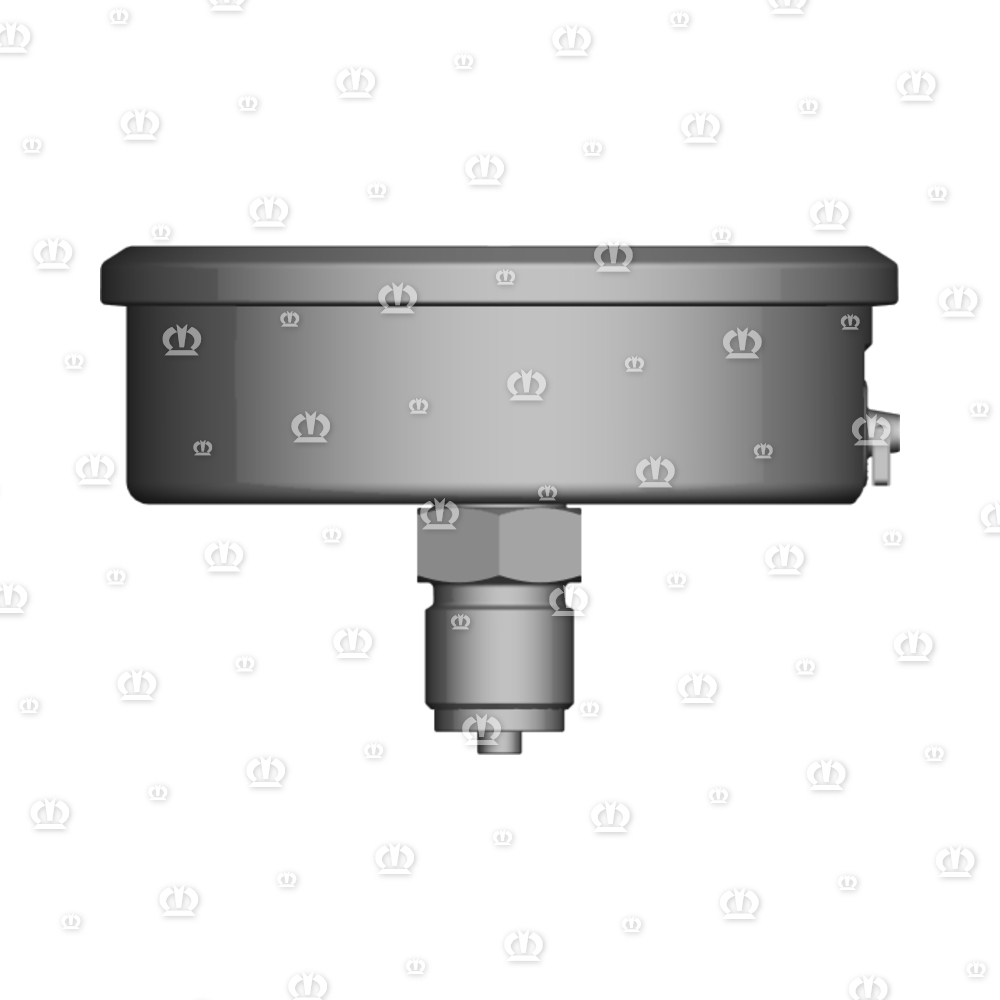 MANOMETER BIS 250BAR