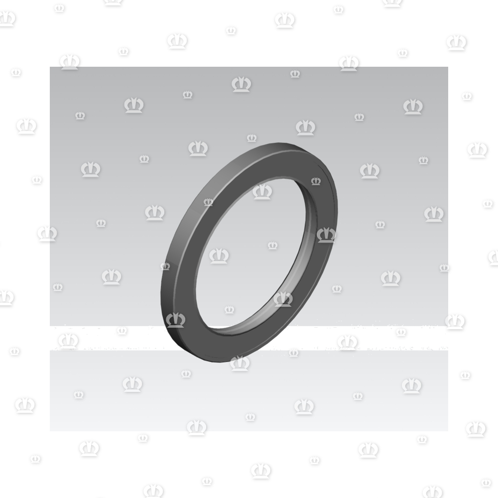 SI.RING AS110X150X13