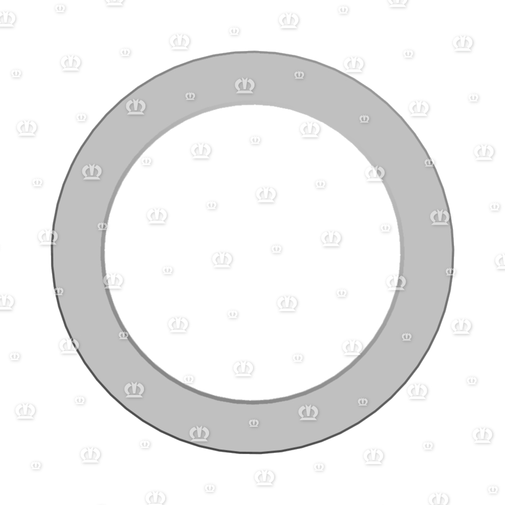SI.RING AS110X150X13