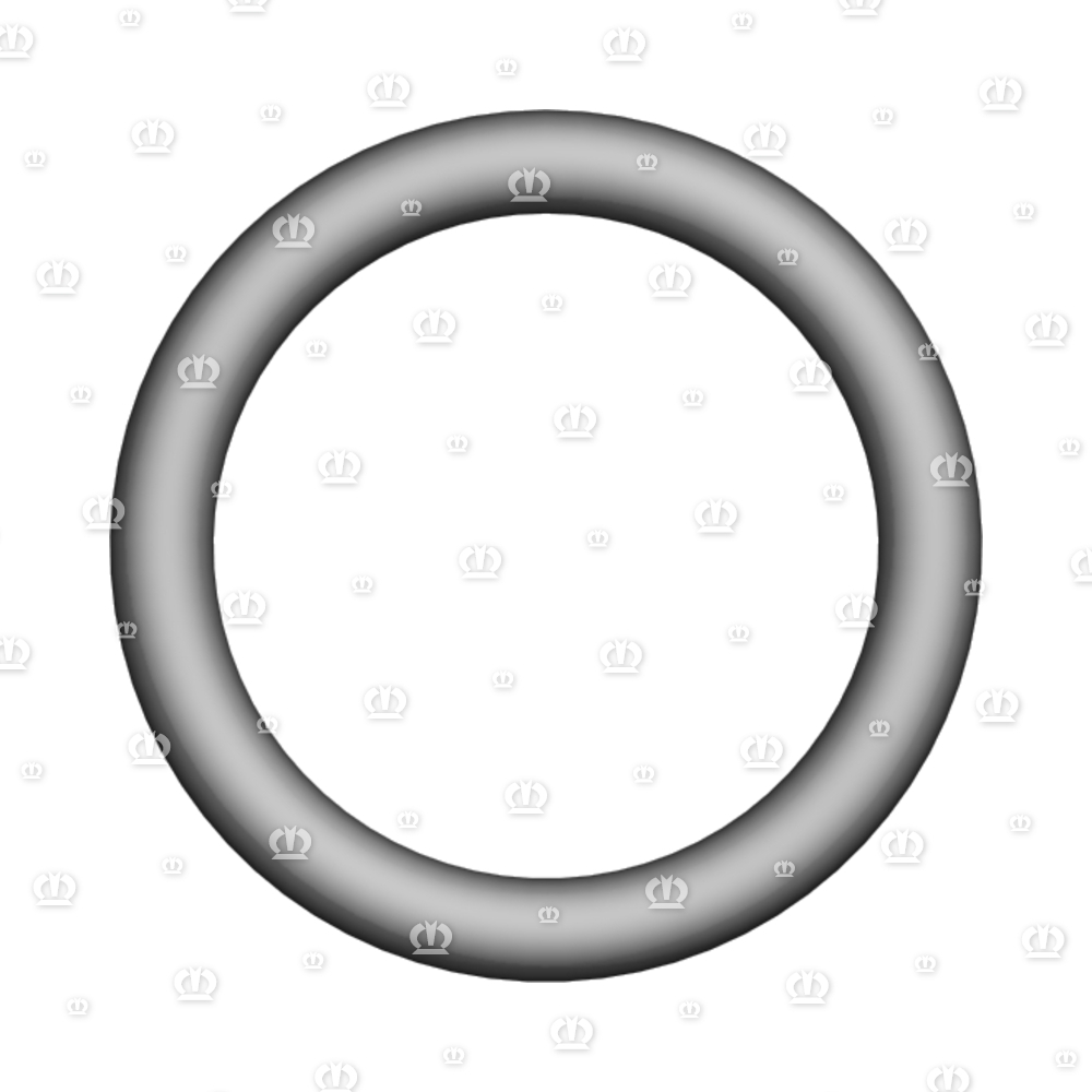 O-RING OR 16-2,5