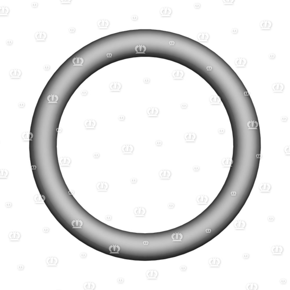 O-RING OR 16-2,5
