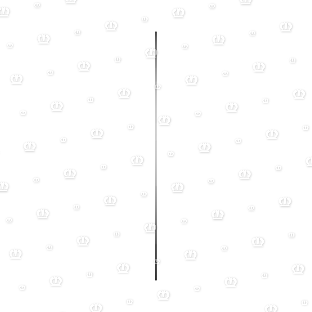SCHEIBE 20X25X0,2