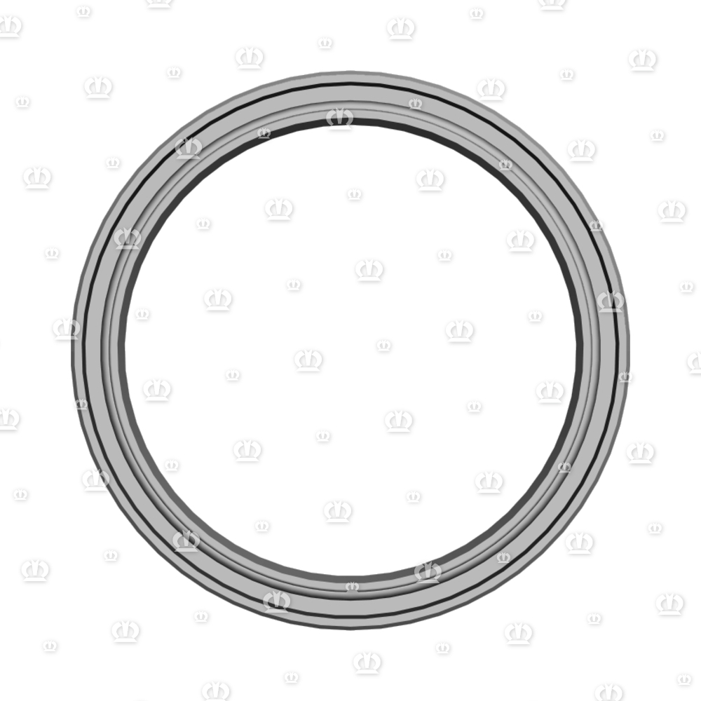 SI.RING AS 50X62X7