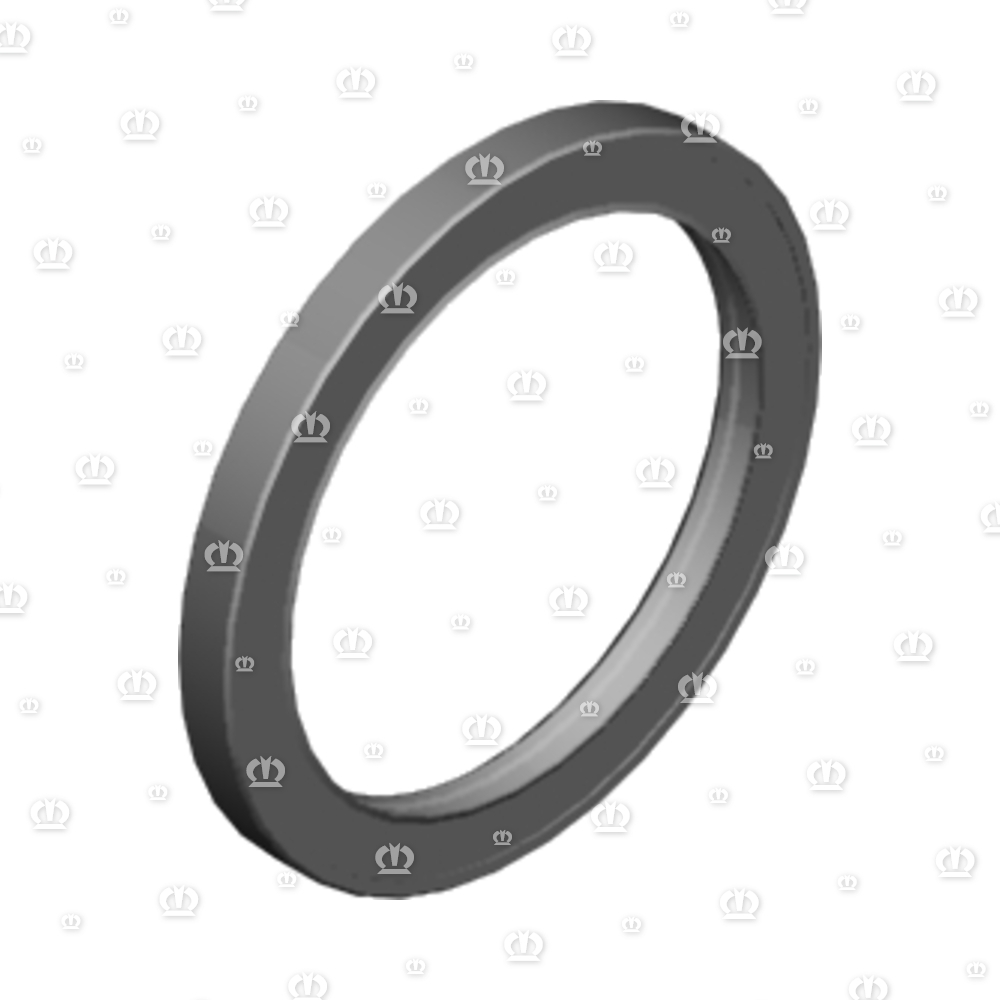 SI.RING AS 110X140X12