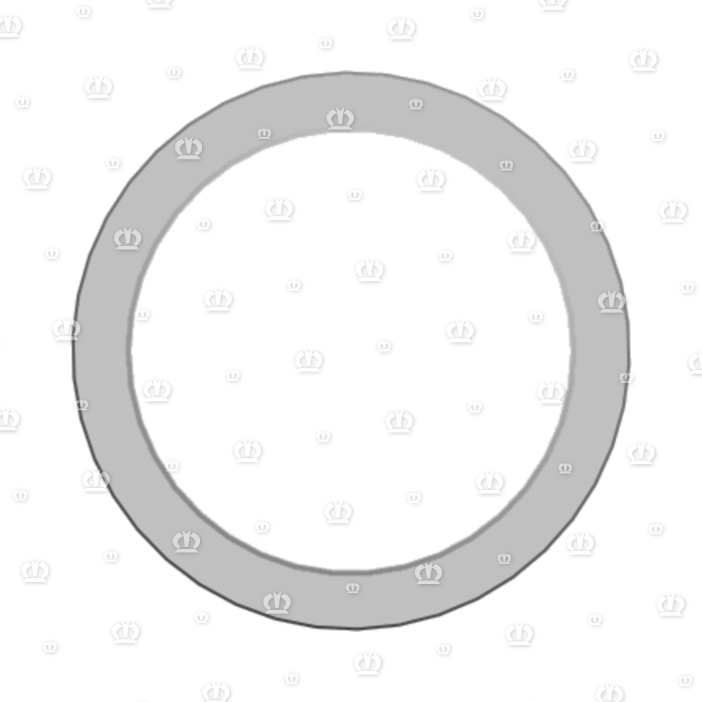 SI.RING AS 110X140X12