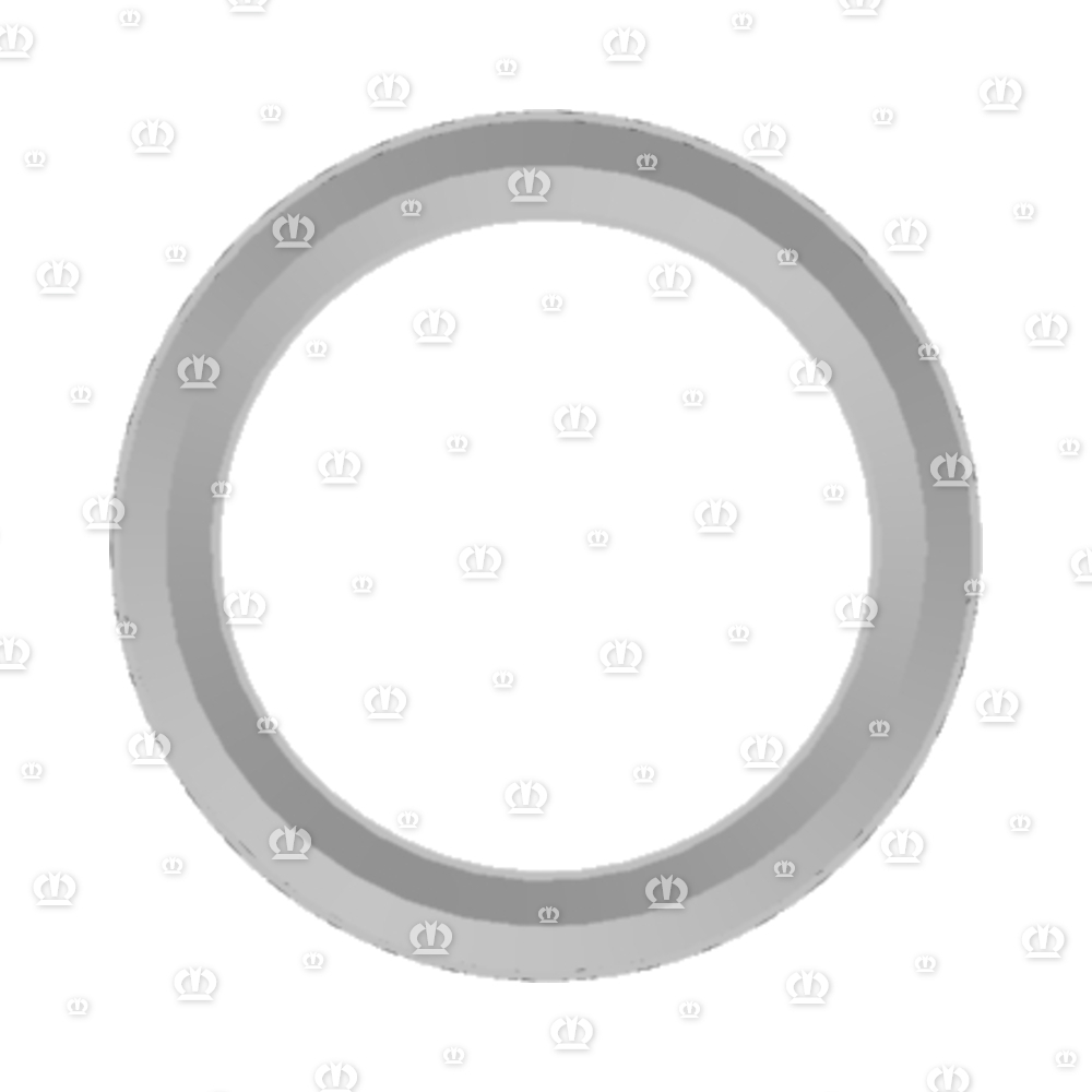SI.RING G30X40X4