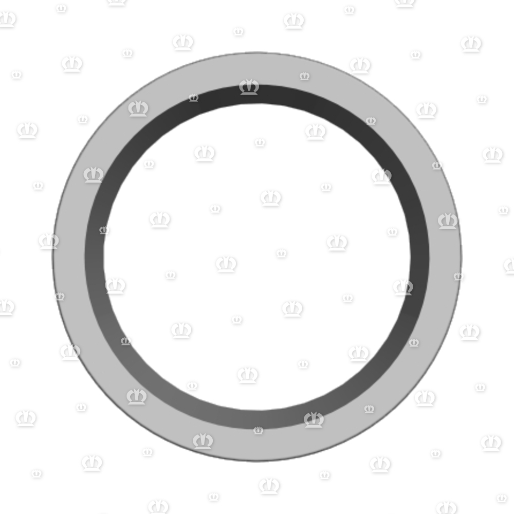 SI.RING G30X40X4