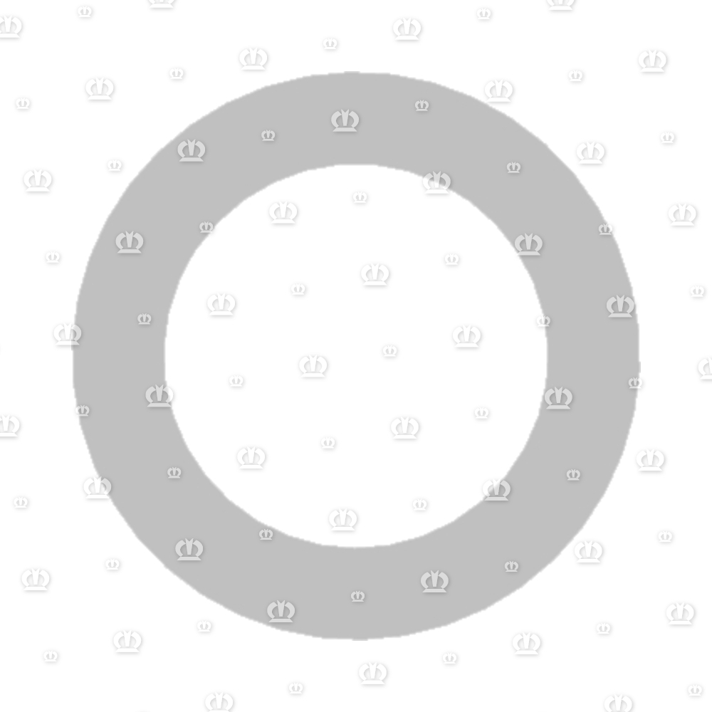 DICHTRING 16X24X1,5 CU