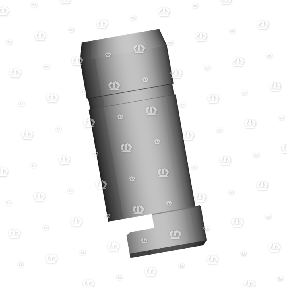AUFNAHMEBOLZEN RD.45X97