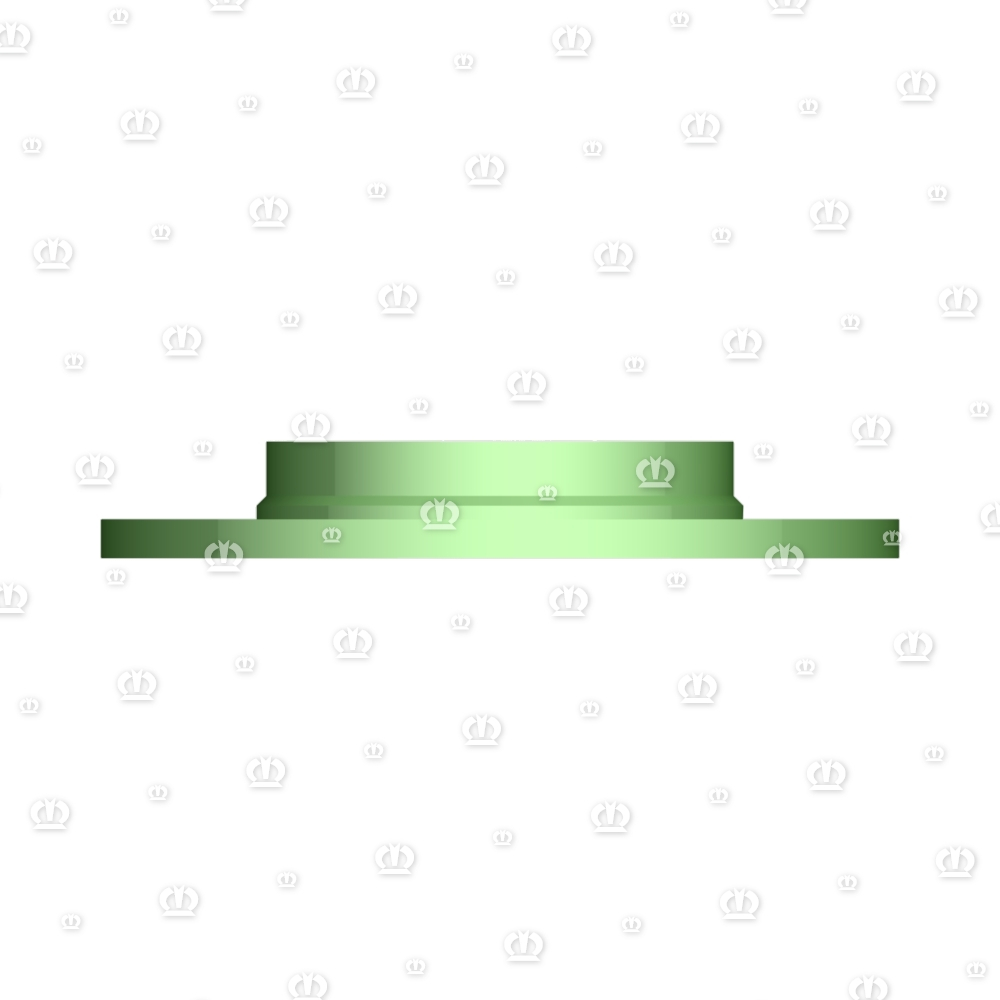 FLANSCH RD.205X30