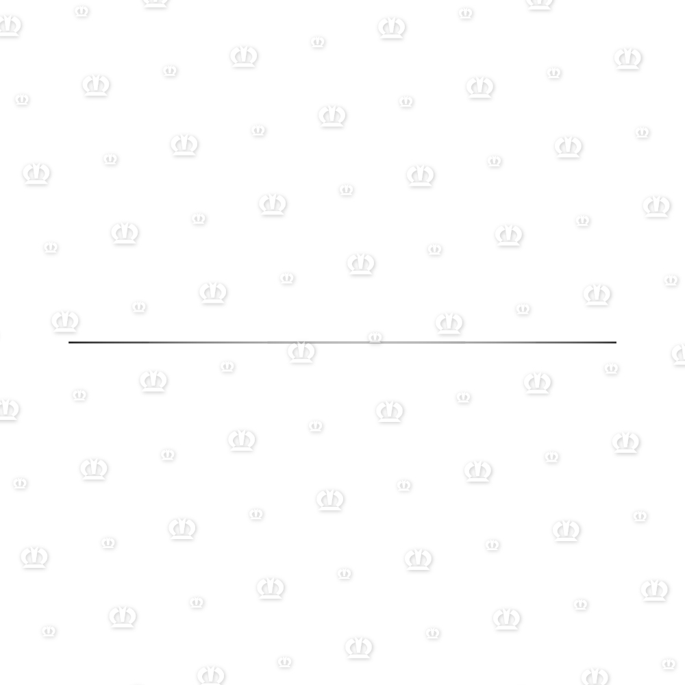 PASSCHEIBE 150X160X0,5