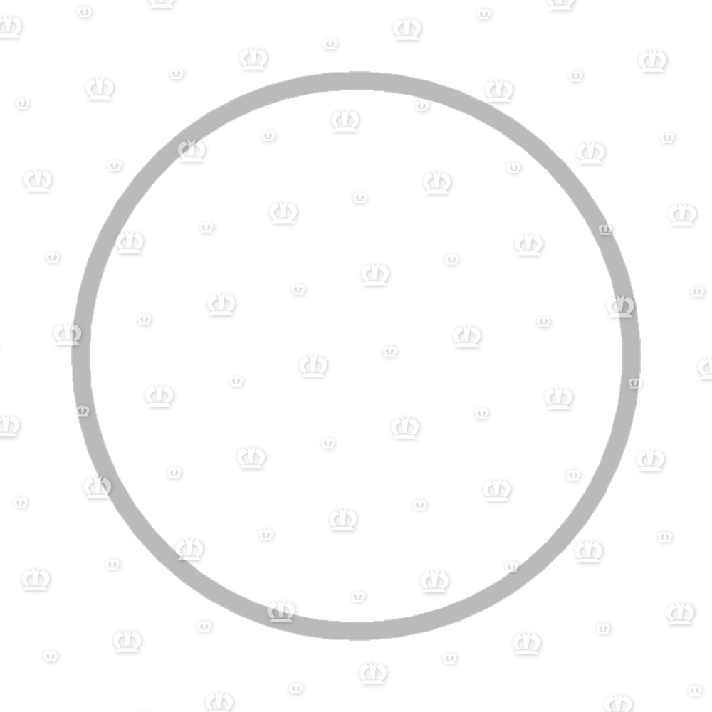 PASSCHEIBE 150X160X0,5