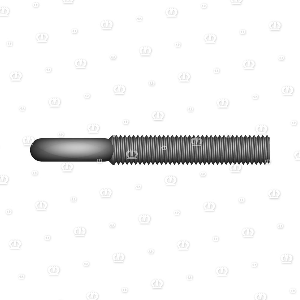 RINGSCHRAUBE 12X80/55 VERZ