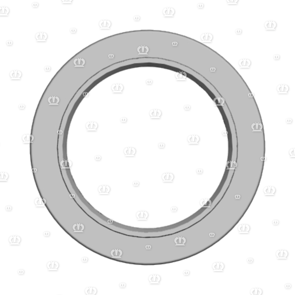 SI.RING B2SL 55X80X10/12