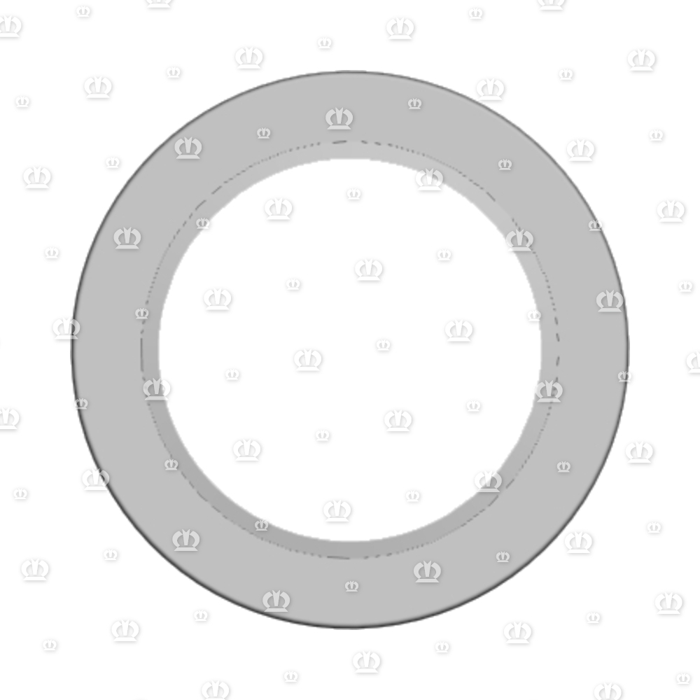 SI.RING B2SL 55X80X10/12